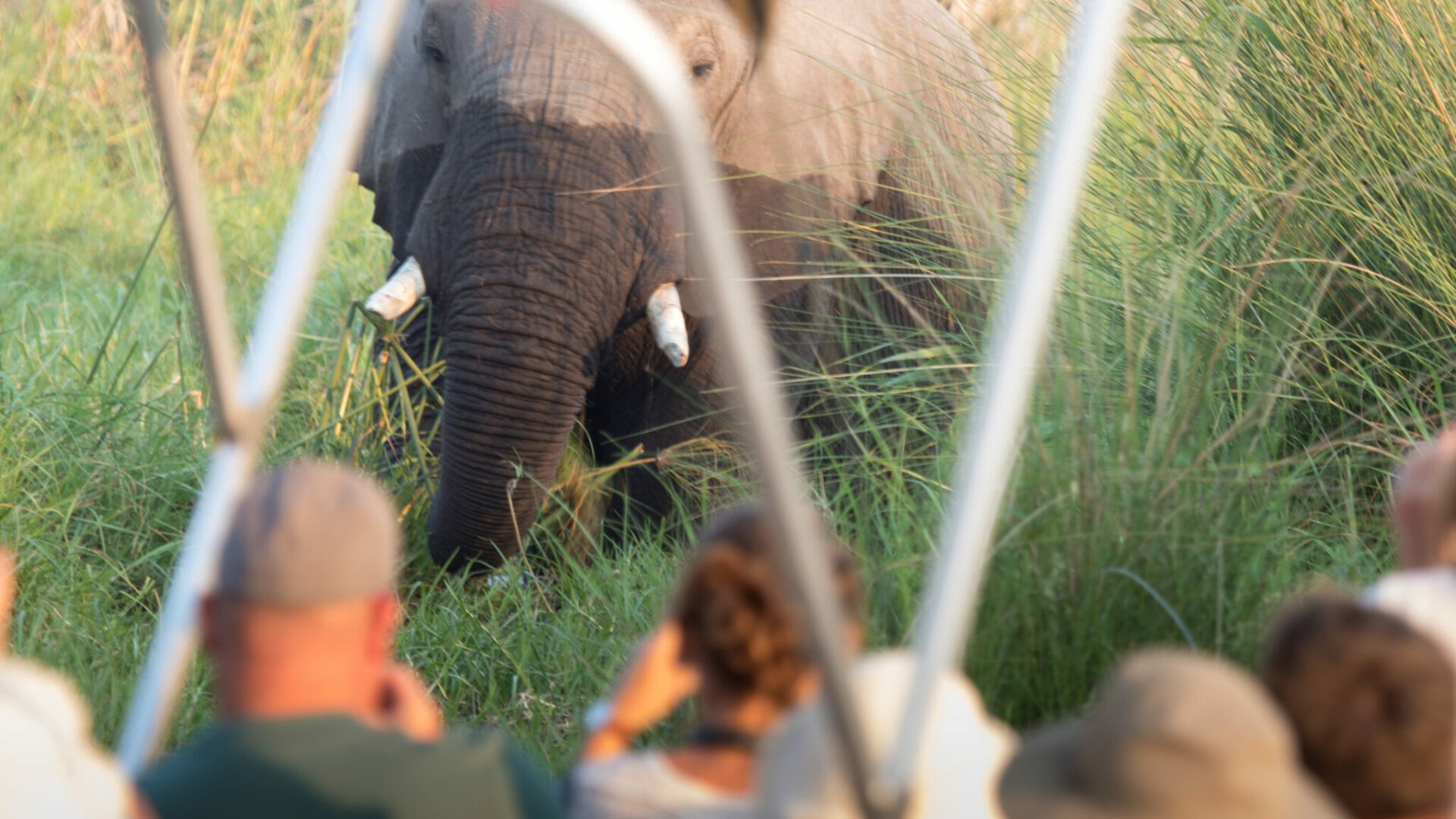 botswana okavango delta moremi crossing lodge 4