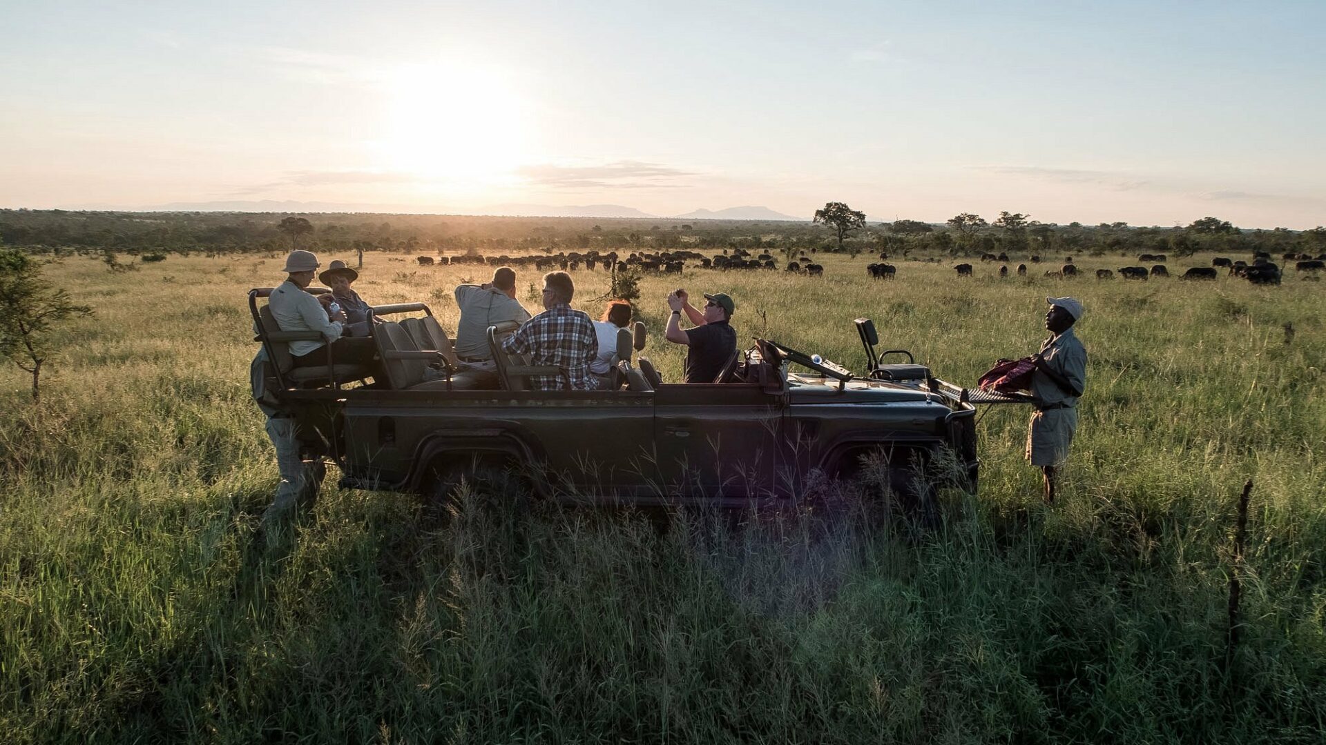 pungwe safari camp manyaleti south africa 13