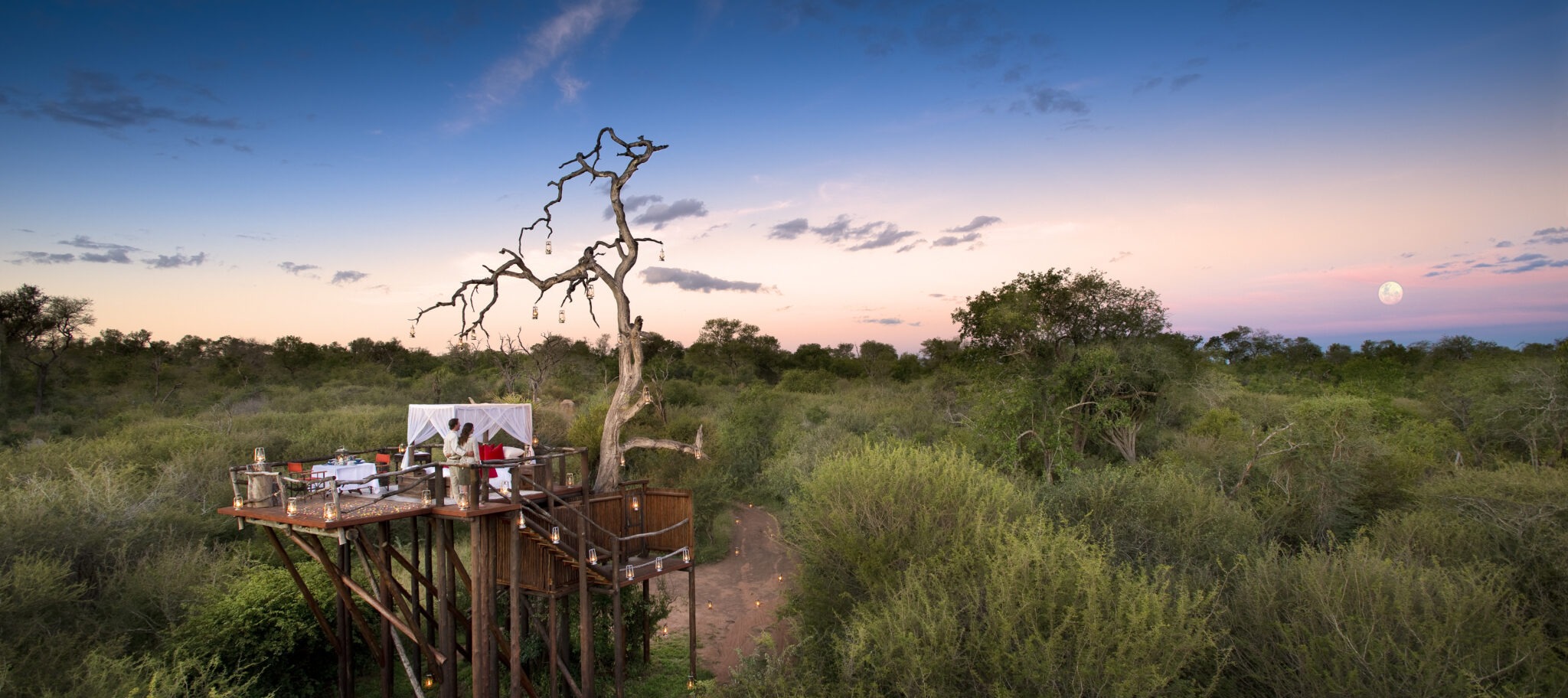 south-africa-sabi-sands-lion-sands-treehouse-chalkley-2