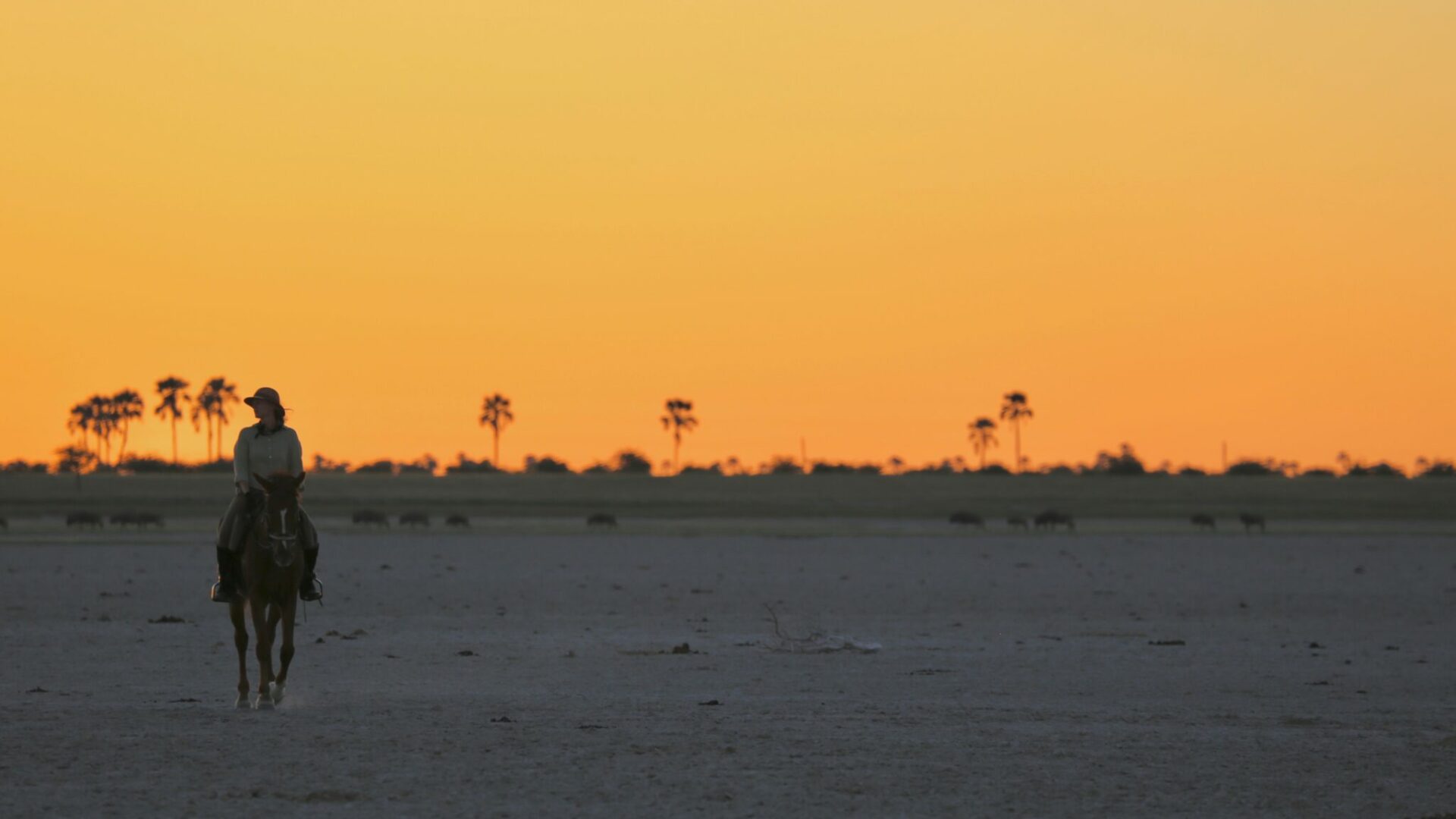 Sunset 2