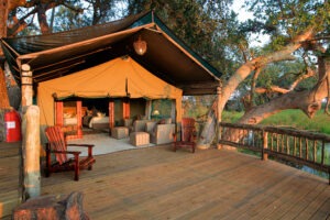 botswana okavango delta gunn's camp19