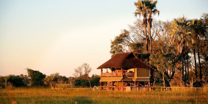 botswana okavango delta gunn's camp9