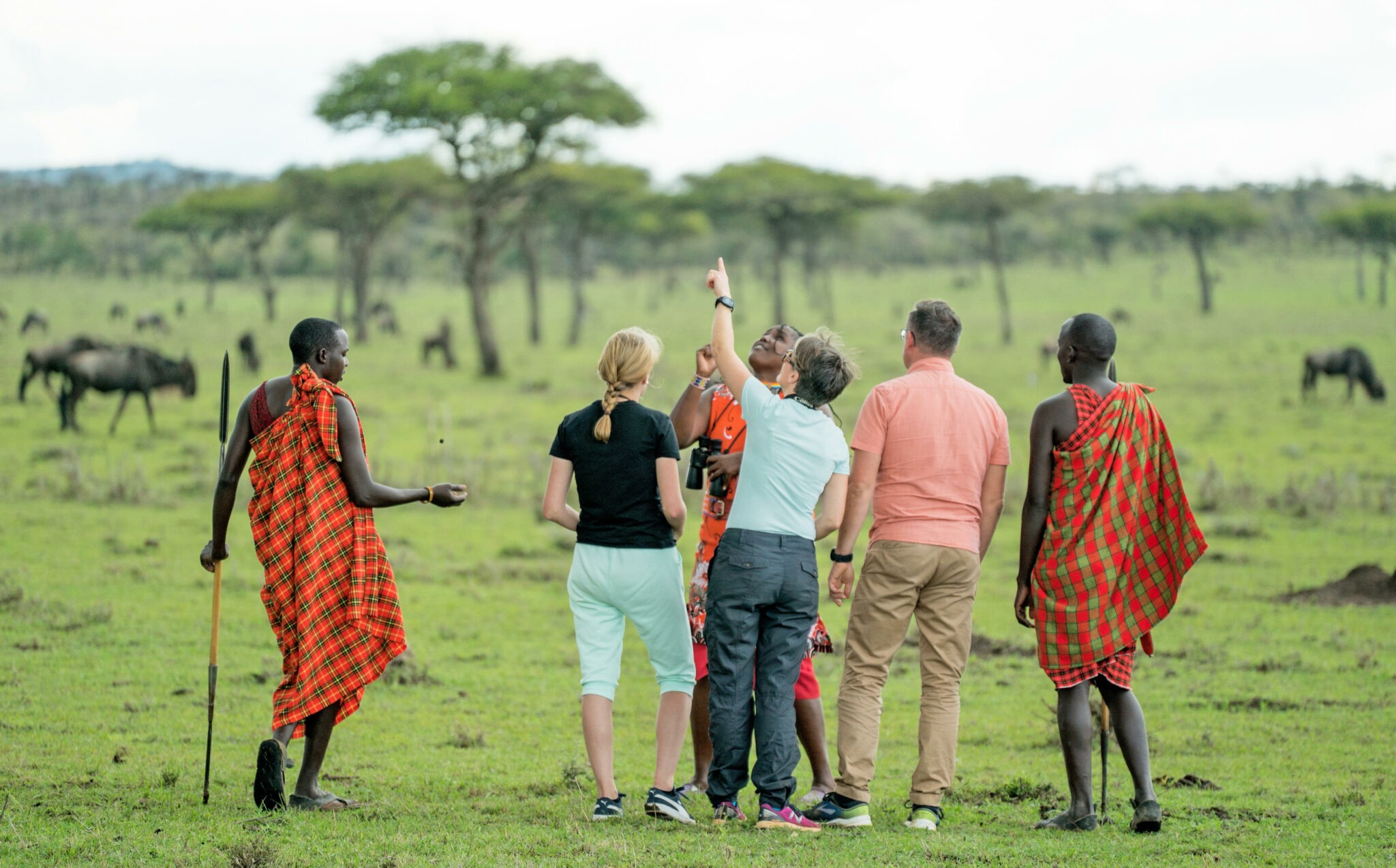 kenya-masai-mara-eagle-view-camp22