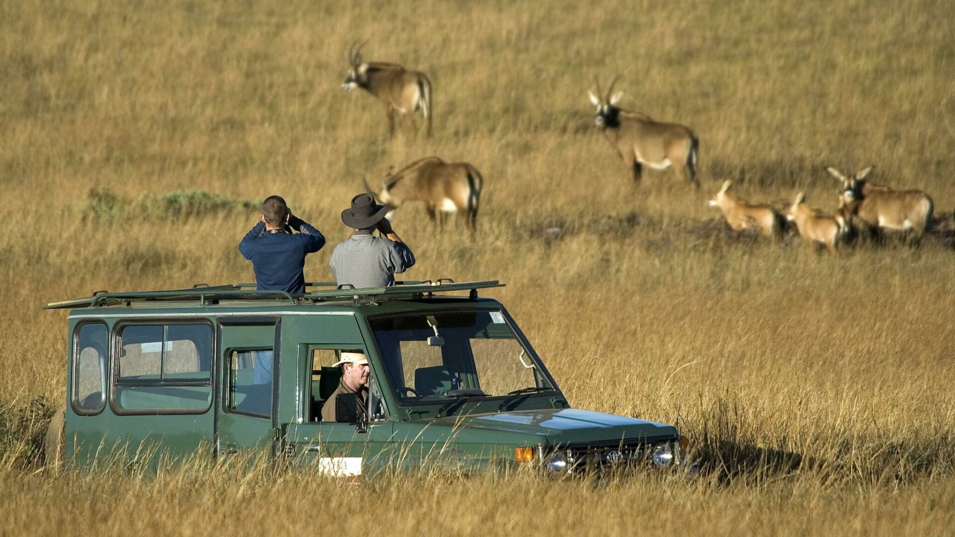 malawi nyika national park chelinda lodge16