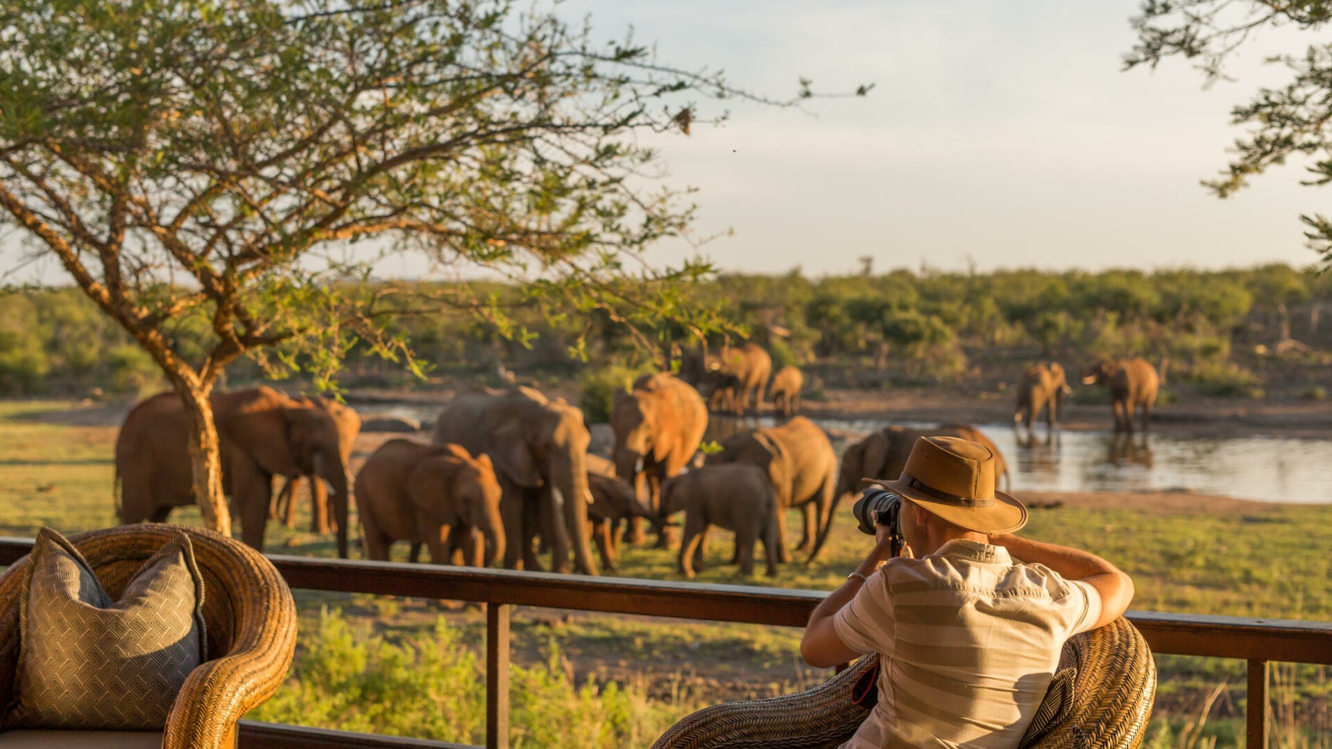 south africa madikwe jamala madikwe royal safari lodge11
