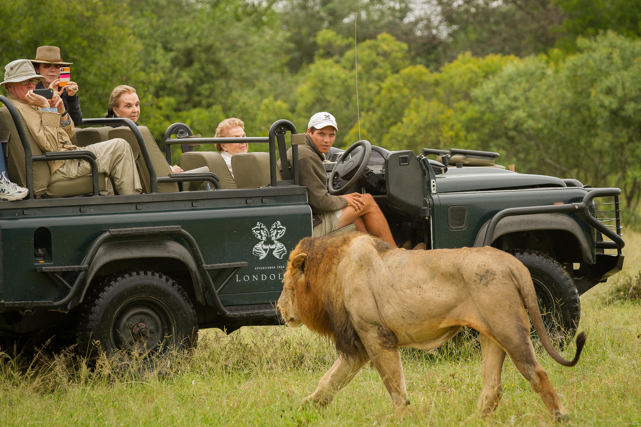 south_africa_sabi_sands_Londolozi_varty_camp10