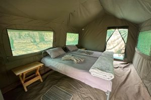 Wild Expeditions Meru Tent Safari Frank Okwa Botswana3