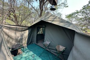 Wild Expeditions Meru Tent Safari Frank Okwa Botswana6