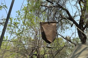Wild Expeditions Meru Tent Safari Frank Okwa Botswana7