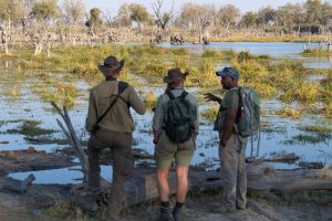 botswana okavango delta wild expeditions safaris30