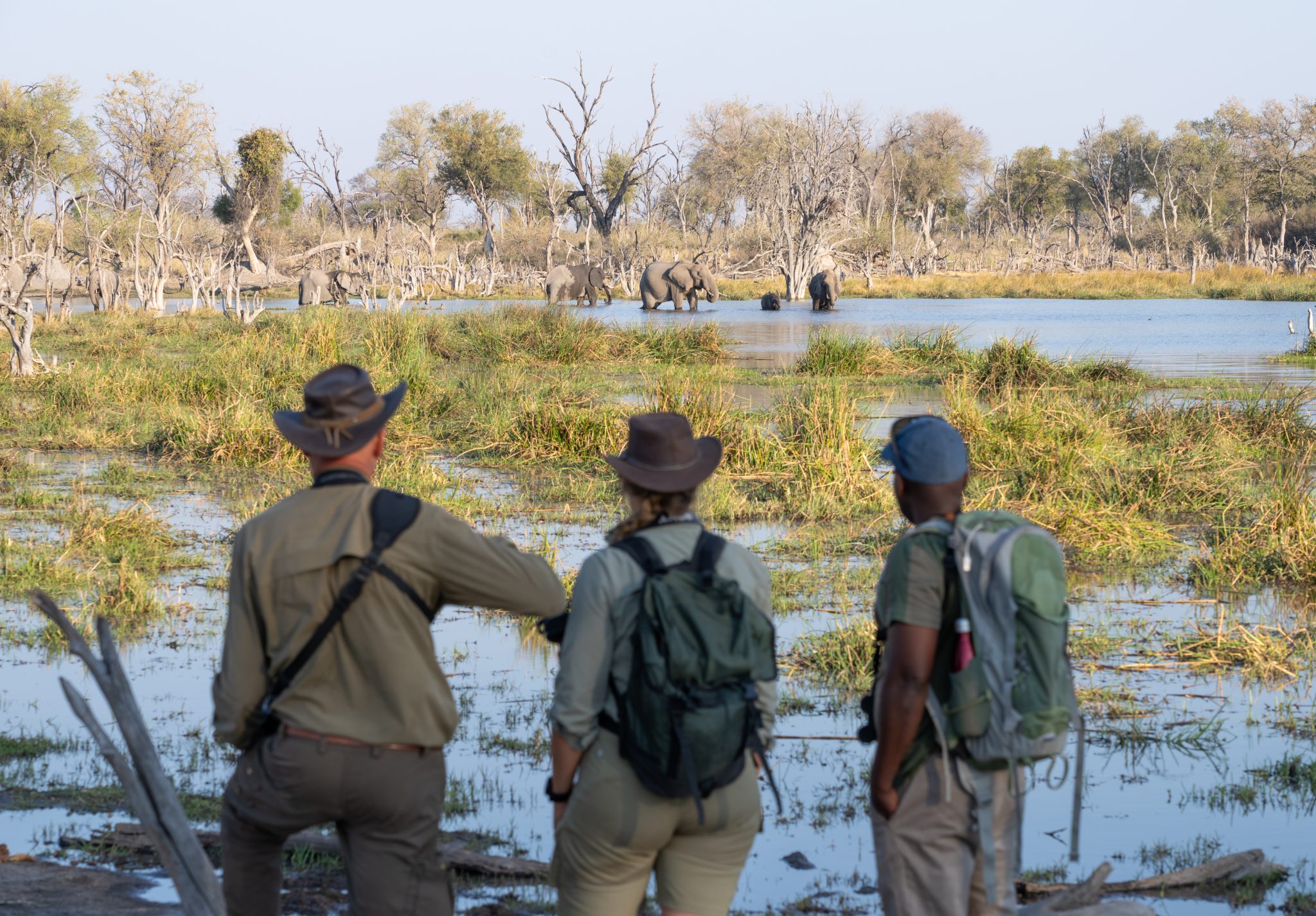 botswana okavango delta wild expeditions safaris31 botswana okavango delta wild expeditions safaris31