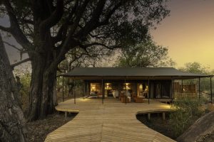 botswana moremi game reserve kiri camp53