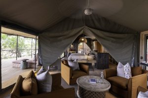 botswana moremi game reserve kiri camp55