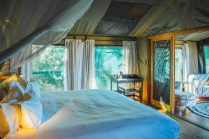 botswana moremi game reserve rra dinare camp10