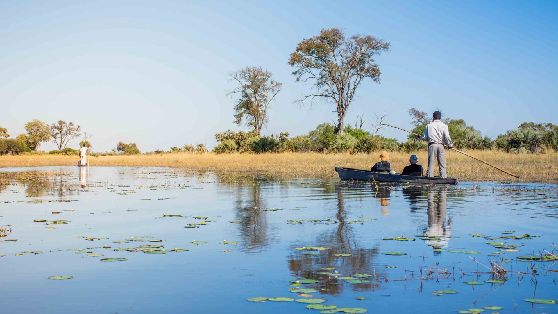 botswana moremi game reserve rra dinare camp11