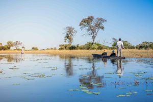 botswana moremi game reserve rra dinare camp11