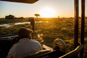 botswana moremi game reserve rra dinare camp12