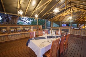 botswana moremi game reserve rra dinare camp15