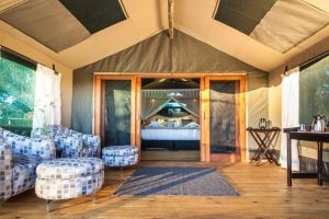botswana moremi game reserve rra dinare camp18