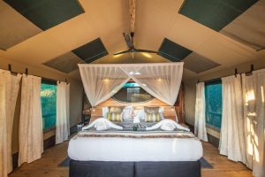 botswana moremi game reserve rra dinare camp19