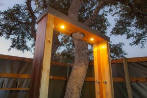 botswana moremi game reserve rra dinare camp23