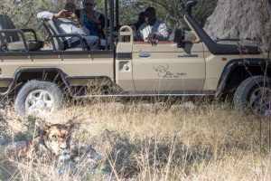 botswana moremi game reserve rra dinare camp24