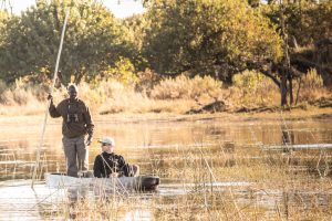 botswana moremi game reserve rra dinare camp25