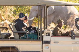 botswana moremi game reserve rra dinare camp26