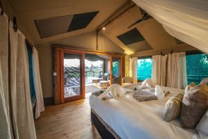 botswana moremi game reserve rra dinare camp4