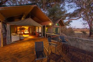 botswana moremi game reserve rra dinare camp7