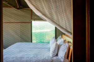 botswana moremi game reserve rra dinare camp9