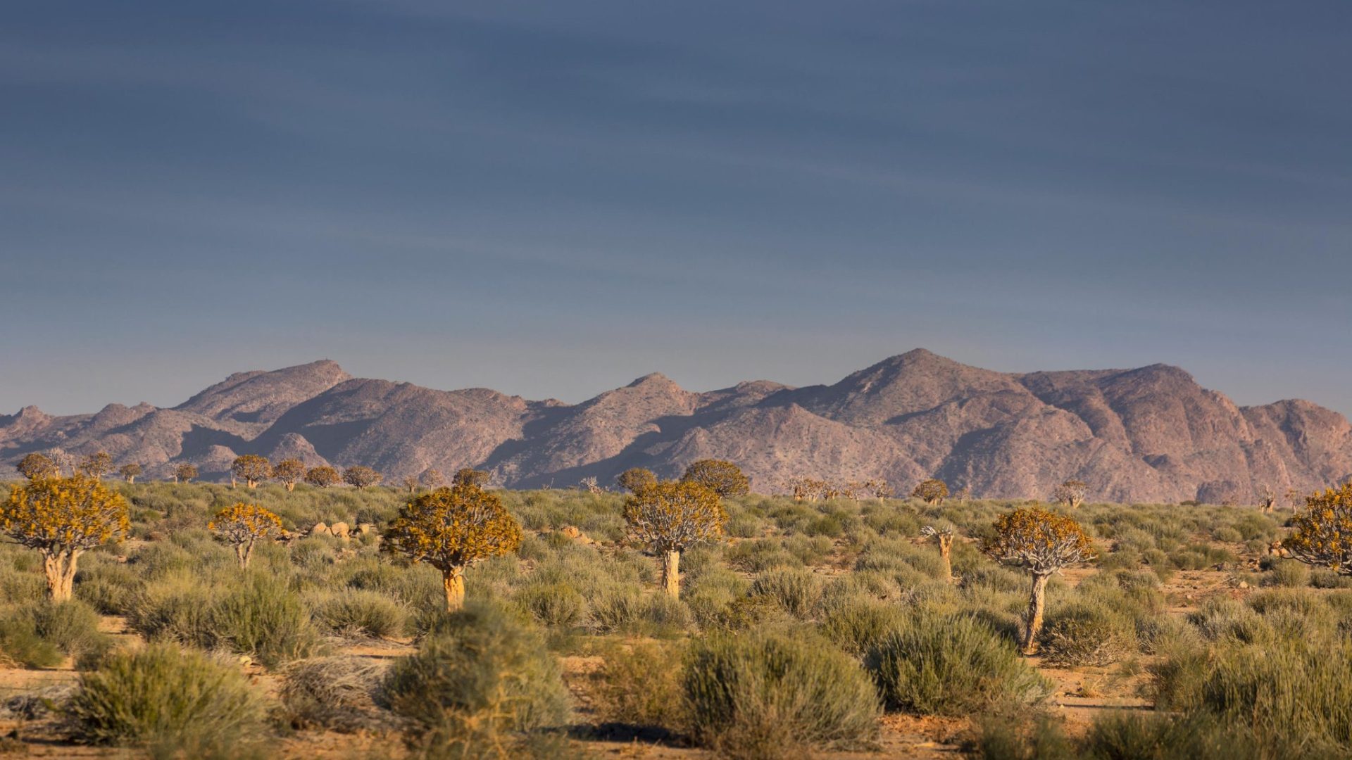 Canyon Lodge Namibia Luxury1