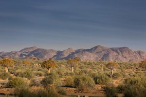 Canyon Lodge Namibia Luxury1
