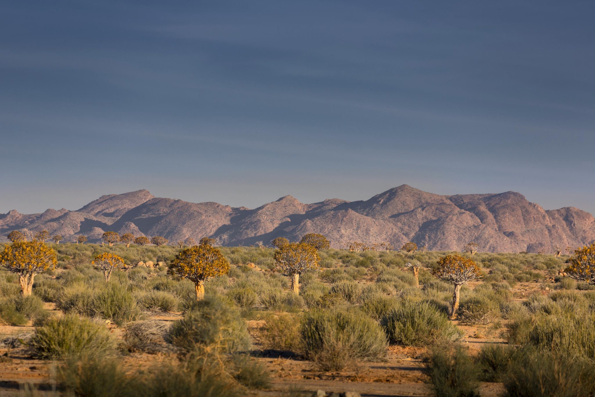 Canyon Lodge Namibia Luxury1