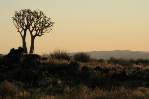 Canyon Lodge Namibia Luxury26