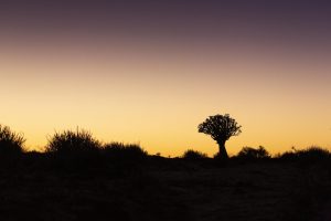 Canyon Lodge Namibia Luxury3