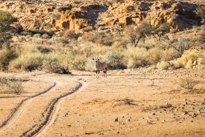 Canyon Lodge Namibia Luxury55