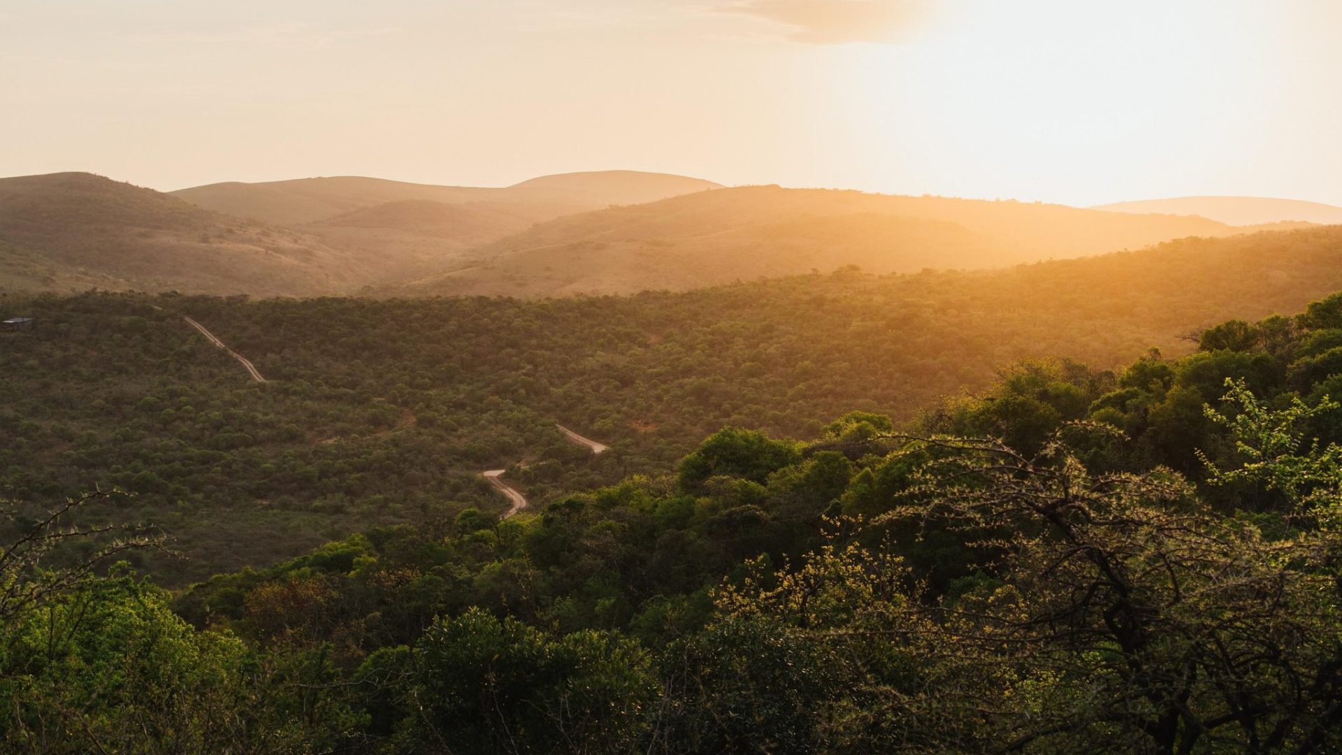 Rhino Ridge Safari Lodge South Africa39