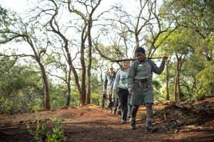 Rhino Ridge Safari Lodge South Africa7