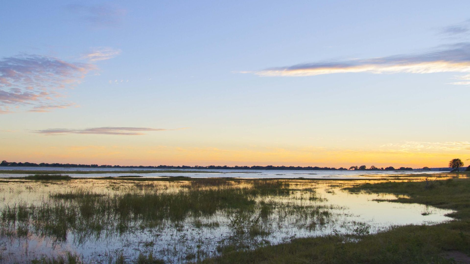 botswana chobe national park ngoma safari lodge7