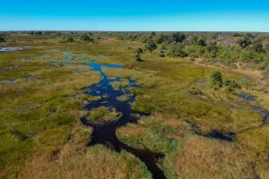 botswana moremi game reserve dukes camp2