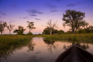 botswana moremi game reserve dukes camp38