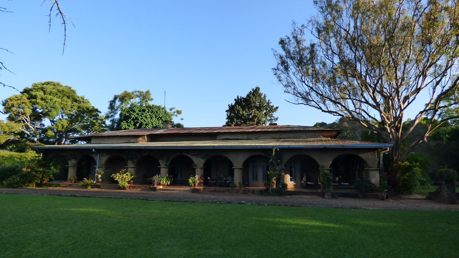 malawi satemwa huntingdon house2