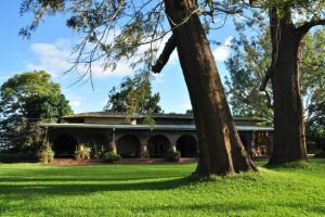 malawi satemwa huntingdon house8