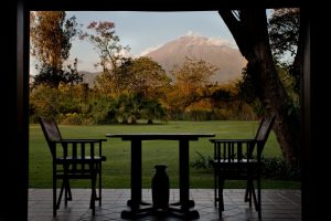tanzania arusha legendary lodge28