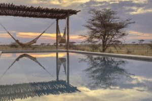 tanzania serengeti namiri plains18