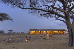 tanzania serengeti namiri plains24