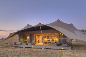 tanzania serengeti namiri plains29