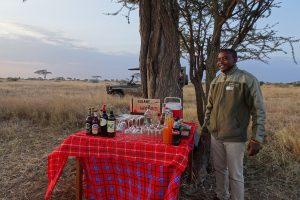 tanzania serengeti naona moru camp11
