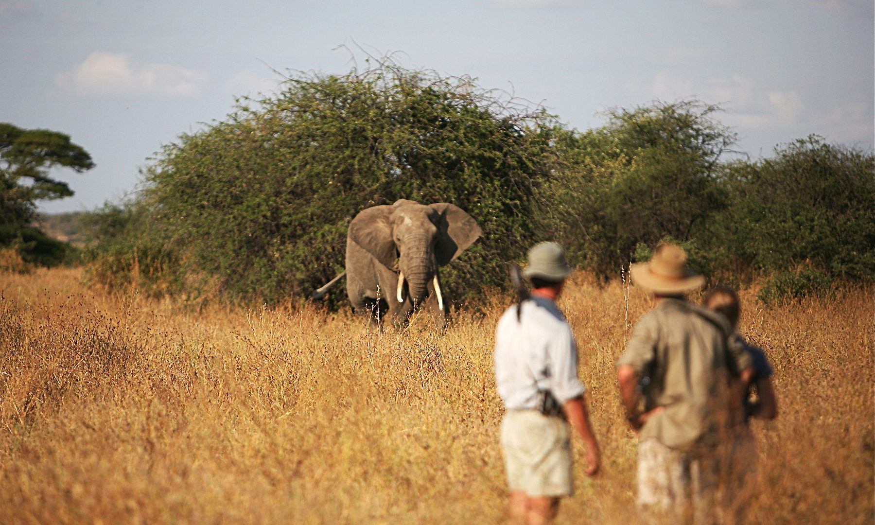 tanzania serengeti naona moru camp12